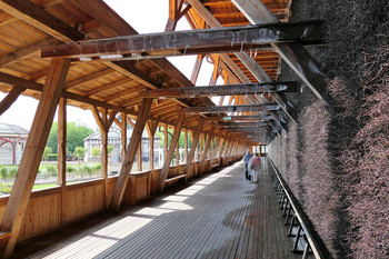 Sanierung-gradierwände-bad-salzungen